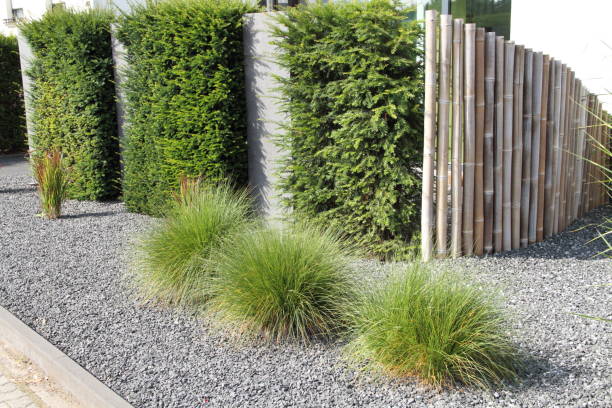 istock a modern front yard with stones and plants 1427259988