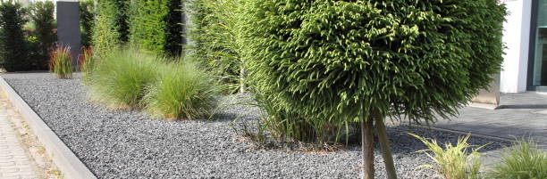 istock a modern front yard with stones and plants 1427260046