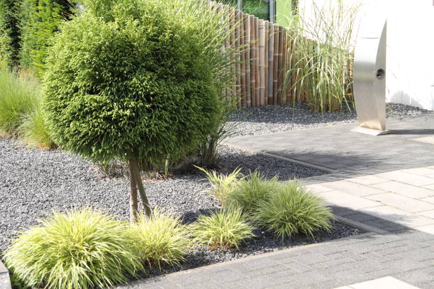 istock a modern front yard with stones and plants 1427260095