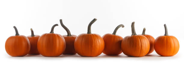 istock Many orange pumpkins on white 1427260959