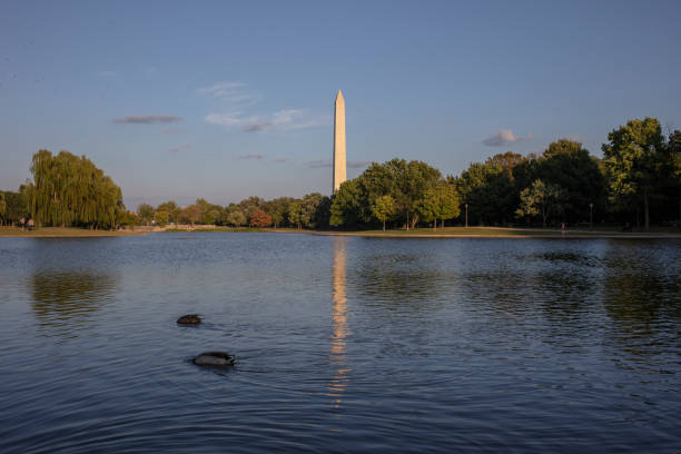 istock Washington momument in Washington DC 1427268291