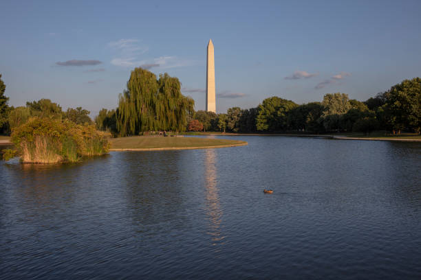 istock Washington momument in Washington DC 1427268308