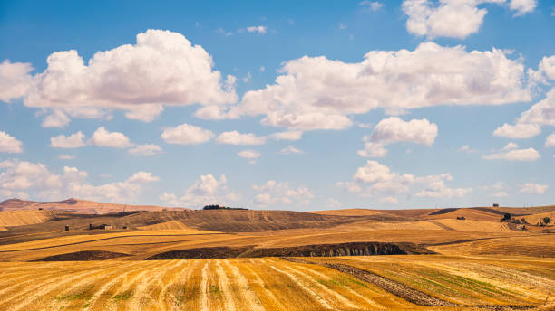 istock Lucania summer countryside landscape 1427269529