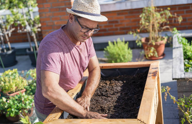 istock Man Planting Vegetables In His Raised Beds On Rooftop 1427272653