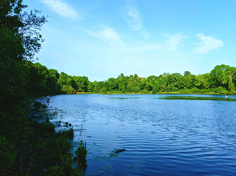 View of Dodgeville Pond