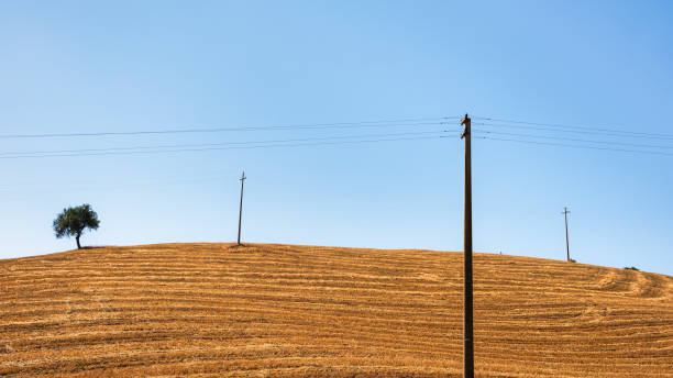 istock Lucania summer countryside landscape 1427275031