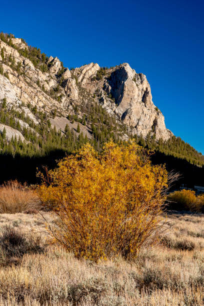 istock Autumn colored willow and high Idaho mountain peak 1427276556