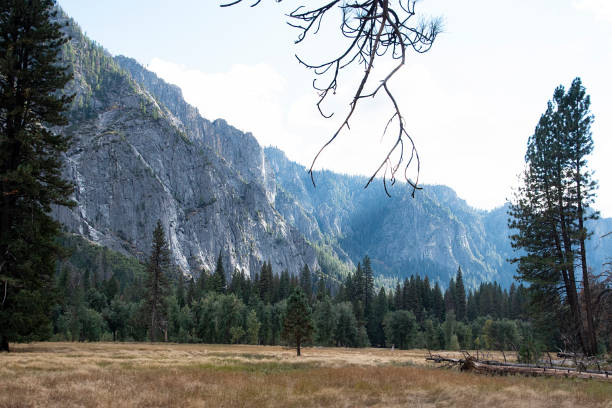 istock Yosemite National Park 1427276738