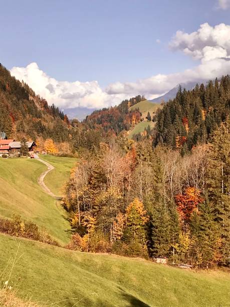 istock Swiss- Bern Canton - Frutigen 1427278144