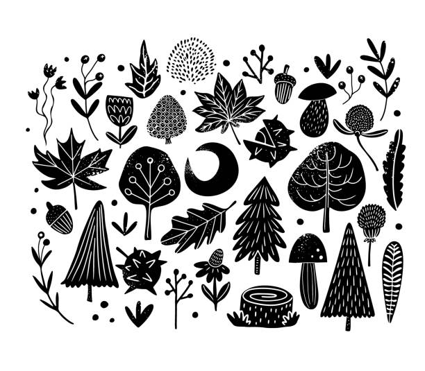 illustrazioni stock, clip art, cartoni animati e icone di tendenza di grande set con foresta e fiori in stile linoleografia - woodcut