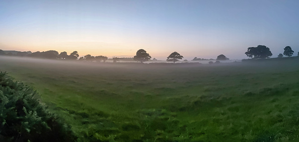 Mist on fields with trees during sunset sunrise in Northern Ireland, UK