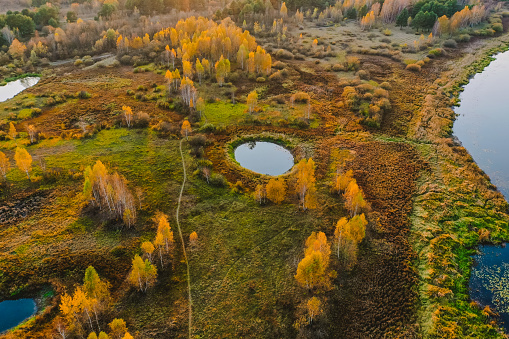 Autumn drone photography. Protection of water and nature. Pond. Lake. Sunny day. Sunset. Flying above earth. Nature background. Atmospheric landscape. Yellow trees in forest. October