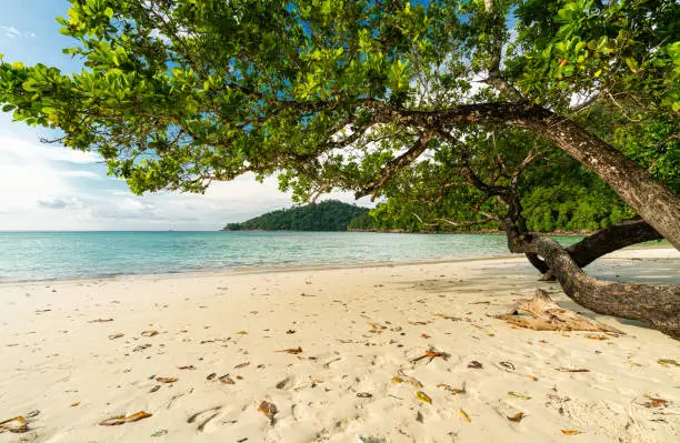 Photo of Beautiful Mai ngam beach in Koh Surin national park, the famous free driving spot in Pang Nga, Thailand.