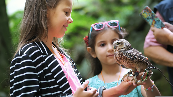 domestic owl. girl holding on hand and strokes a small motley owl. close-up. in the forest, park for a walk, summer day. High quality photo