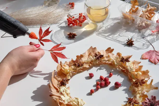Hands making dried floral wreath from dry Autumn leaves and Fall berries. Hands with manicured nails fixing decorations with glue gun.
