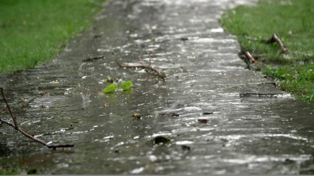 istock close-up, rain dripping onto the path. summer rain, a thunderstorm, a heavy downpour at the recreation center, in a pine forest, park. water flows down in large drops 1427286925