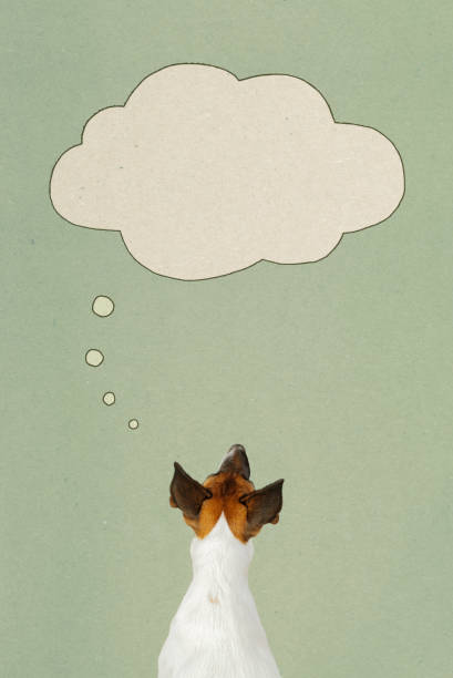 istock Dog dreaming, thinking, digital collage with text space and faded retro background, paper texture. 1427287612
