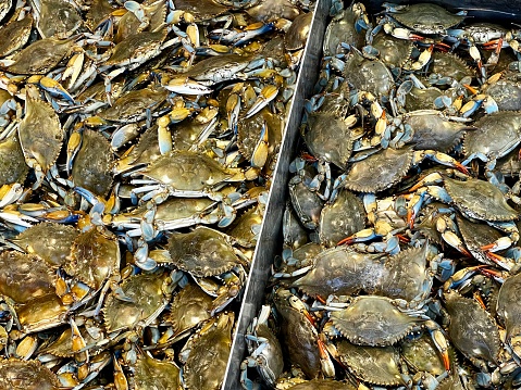 Tray of colourful crabs for sale at a fish market