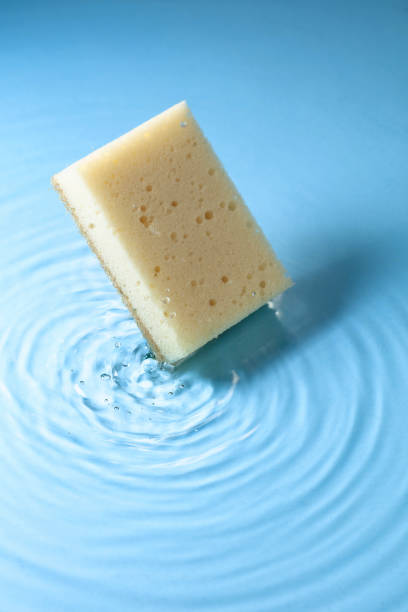 istock The sponge falls into the water. 1427289199