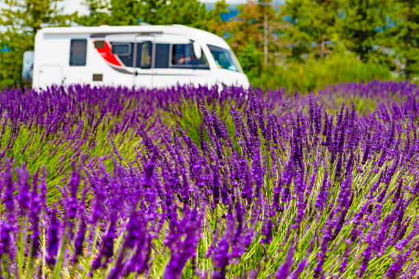 istock Caravan camping at lavender field, France 1427290072