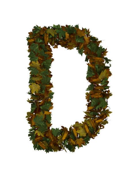 istock Text Made Out Of Autumn Leafe Typeface D 1427292272