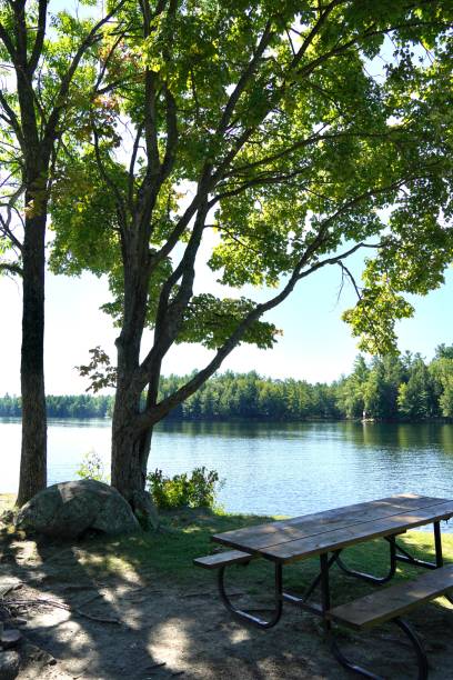 istock Shady picnic spot by the lake 1427292379
