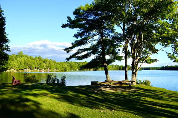 istock Picnic table by the lake 1427292408
