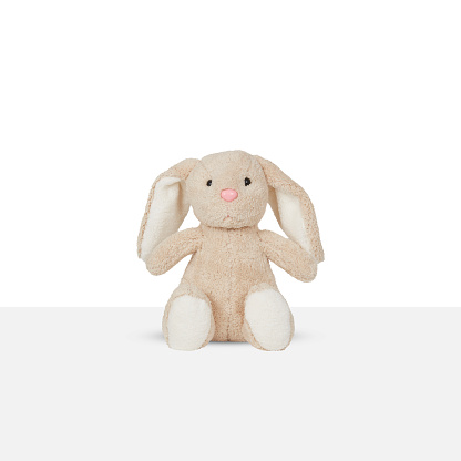 Rabbit doll isolated on white background with clipping path