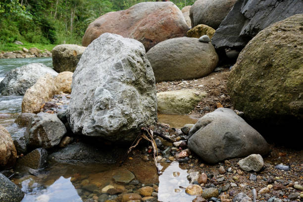 istock river with rocks in tropical nature 1427292933
