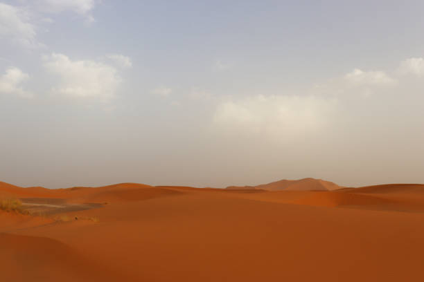 istock Red sand dunes in the Erg Chebbi desert 1427294438