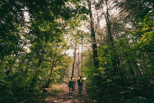 group of hikers walking on trail surrounded by tall trees