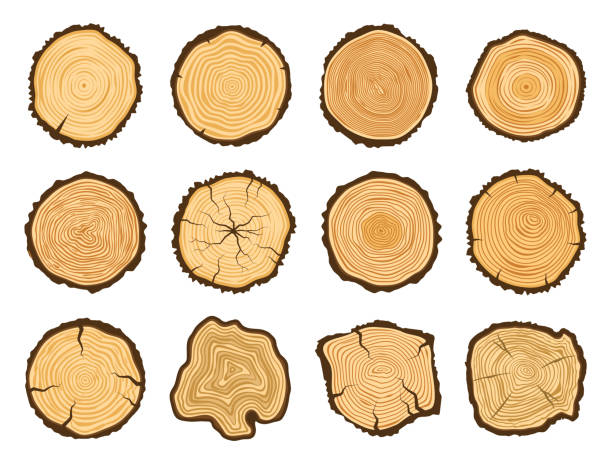 1,900+ Wood Carving Stencils Stock Photos, Pictures & Royalty-Free Images -  iStock