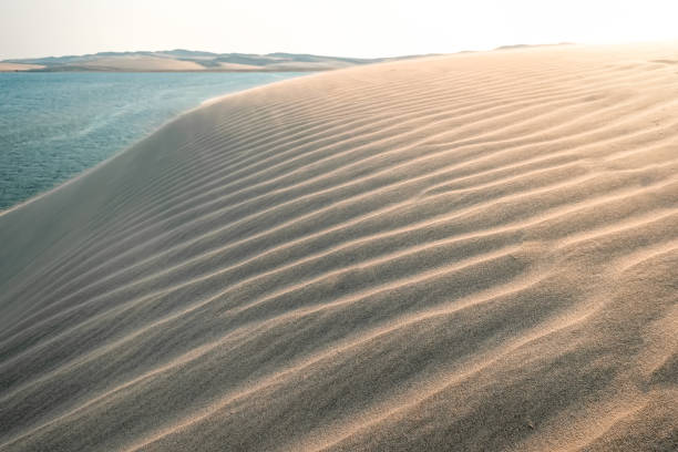 istock Golden sand dunes, Qatar, Middle East 1427296069