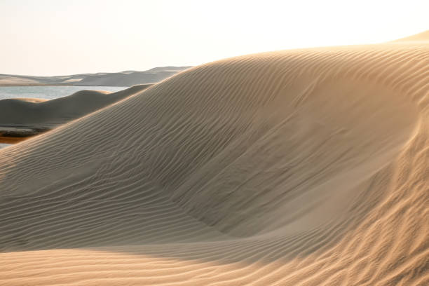 istock Qatar desert at sunset time 1427296152