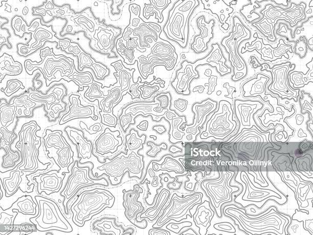 Topoframe Background Topographic Map Background Topo Lines Pattern Abstract Relief And ...