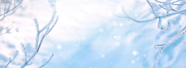 istock Beautiful Christmas background for a postcard or invitation with space for text. 1427296490