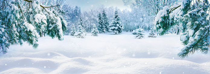Background is my creative handdrawing and you can use it for holiday, Christmas design and etc.