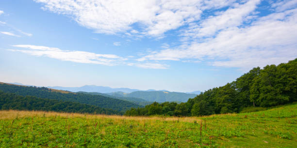 istock stunning mountain landscape in summer 1427299115