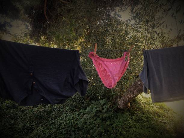 istock Knickers on clothesline 1427303026