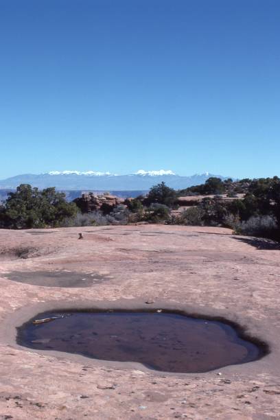 istock Ponded Water in Small Eroded Depressions 1427308972