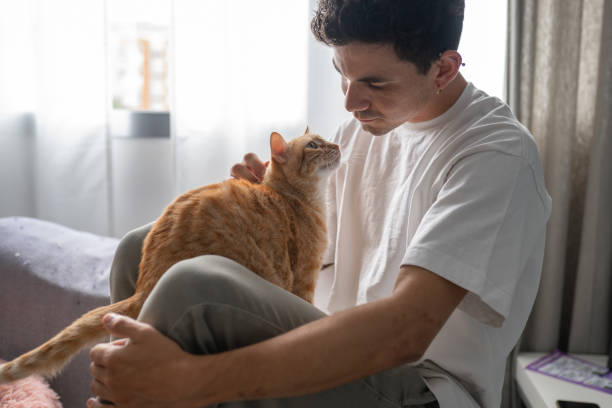istock close up. young man interacts with a brown tabby cat by the window 1427318464