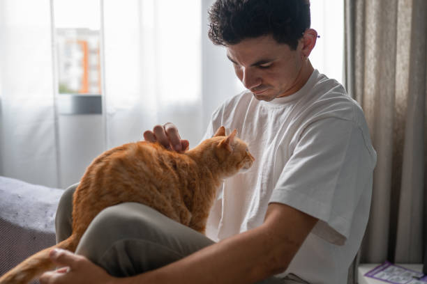 istock close up. young man interacts with a brown tabby cat by the window 1427318465