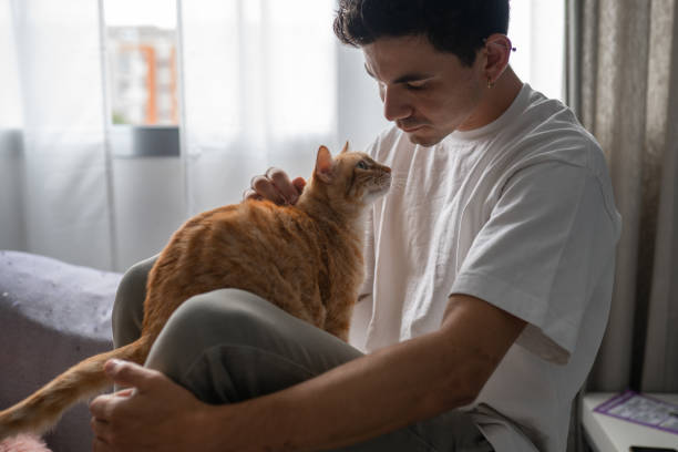 istock close up. young man interacts with a brown tabby cat by the window 1427318469