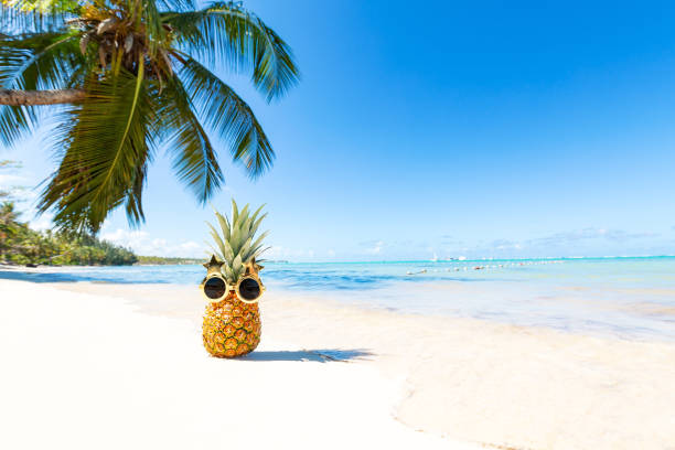 Funny pineapple face in funky sun glasses on caribbean seashore. Exotic fruit on beach close to sea on coconut palm leaf backdrop. Summer background, copy space