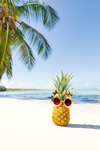 Funny pineapple creative face in funky sunglasses on caribbean vacations. Exotic fruit on beach close to sea on coconut palm leaf backdrop. Summer background