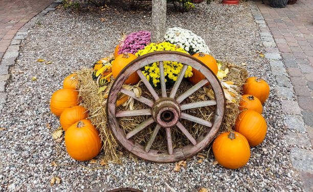 Autumn decoration on straw bales and plants and a large wagon wheel