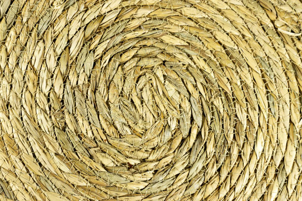 istock Esparto halfah texture , Natural Fiber Background 1427321473