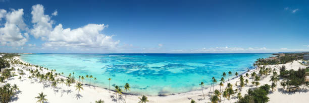 praia de juanillo com palmeiras, areia branca e água do mar turquesa do caribe - santo domingo - fotografias e filmes do acervo