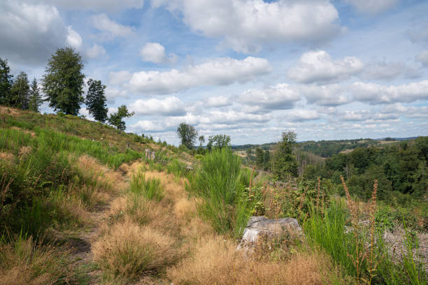 istock Bergischer Panoramasteig, Bergisches Land, Germany 1427332317
