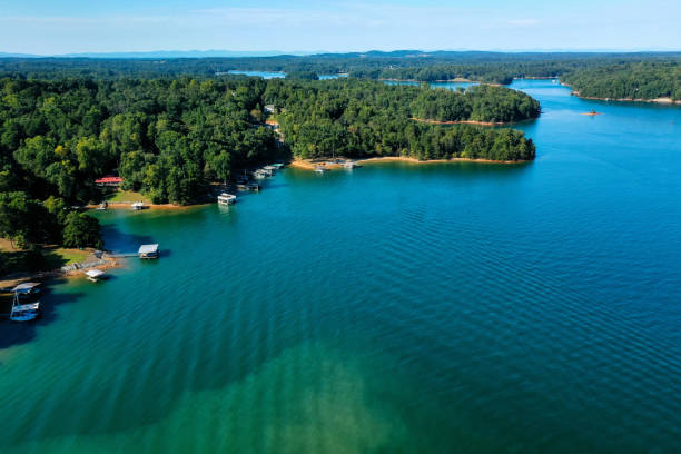 istock Aerial view of Lake Lanier 1427339513